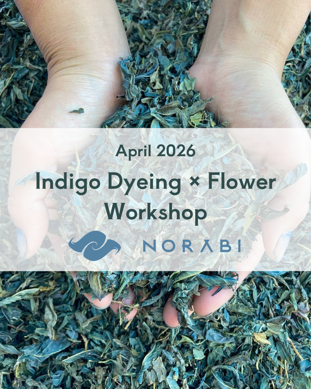 Indio Dyeing × Flower Workshop with Norabi (April 2026)