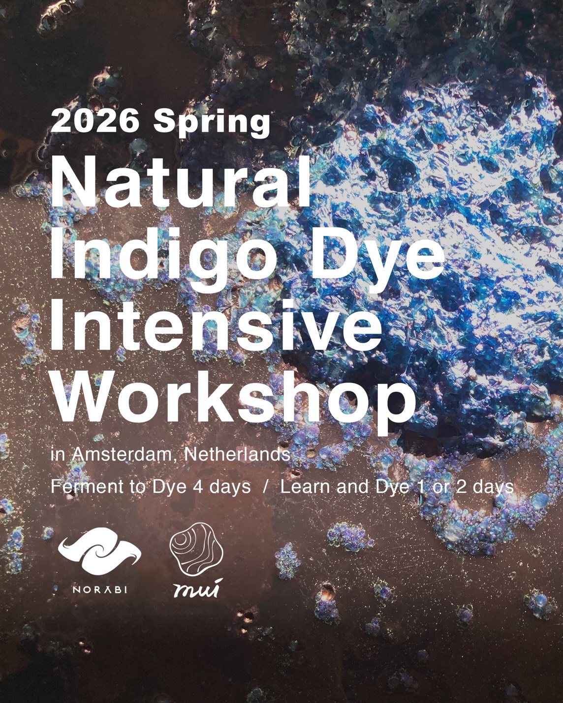 Natural Indigo Dye Intensive Workshop